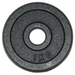 Диск для штанги HAWK крашенный HKPL101, 1 кг (kastd)
