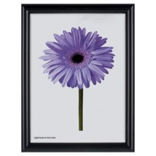 Фоторамка Метрика Maria ВЕНГЕ, 10х15 см (kastd) в магазинах Ашан