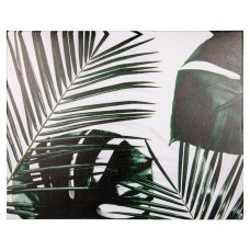 Канвас папаротник, 40x50 см (kastd) в магазинах Ашан
