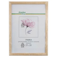 Фоторамка Каждый день неокрашенная, 21x30 см (kastd) в магазинах Ашан
