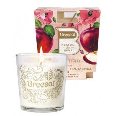 Свеча ароматическая Breesal Breesal Aroma Sphere Настроение праздника, 170 г (kastd) в магазинах Ашан