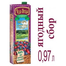 Морс ягодный Чудо-Ягода, 970 мл (kastd) в магазинах Ашан