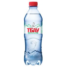 Вода минеральная ТБАУ газированная, 500 мл (kastd) в магазинах Ашан
