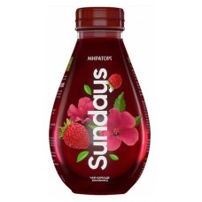 Напиток сокосодержащий Мираторг Sundays Каркаде-земляника охлажденный, 370 мл (kastd) в магазинах Ашан