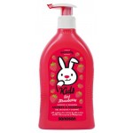 Шампунь-гель для детей Sanosan клубника, 400 мл (kastd) Шампунь-гель для детей Sanosan клубника, 400 мл (kastd)