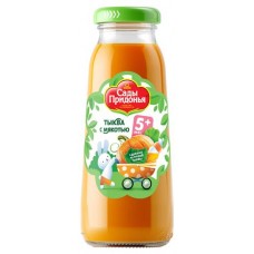 Нектар Сады Придонья тыквенный с 5 месяцев, 200 мл (kastd) в магазинах Ашан