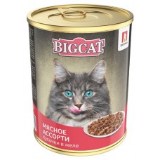 Корм консервированный для кошек Зоогурман BIG CAT мясное ассорти, 350 г (kastd) в магазинах Ашан