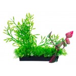 Растение для аквариума HOMEFISH Риччия и людвигия пластиковое с грузом, 14 см (kastd) Растение для аквариума HOMEFISH Риччия и людвигия пластиковое с грузом, 14 см (kastd)