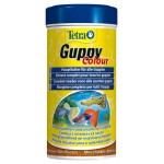 Корм для гуппи Tetra Color для улучшения окраса, 250 мл (kastd) Корм для гуппи Tetra Color для улучшения окраса, 250 мл (kastd)