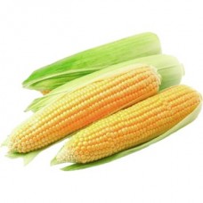 Кукуруза свежая 1 шт. в магазинах Авоська