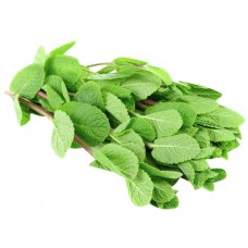 Мята лоток, 30г в магазинах Авоська