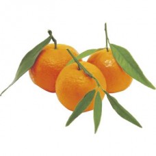 Мандарины с листочком, 1кг в магазинах Авоська