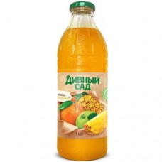 Напиток сокосодержащий ДИВНЫЙ САД мультифруктовый, ст/б, 1л в магазинах Авоська