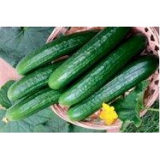 Огурцы среднеплодные гладкие в магазинах Дикси