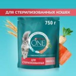 Сухой корм Purina ONE для стерилизованных кошек и кастрированных котов, с лососем и пшеницей, 750 г