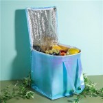 Сумка-холодильник, BBQ, 25х26х29 см, в ассортименте Сумка-холодильник, BBQ, 25х26х29 см, в ассортименте