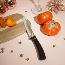 Нож для овощей, O'Kitchen, 23 см в магазинах FixPrice
