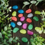 Набор камней светящихся для сада, GreenArt, 20 шт.