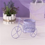 Декоративная подставка Велосипед, 17,8х12,5х8,5 см, в ассортименте Декоративная подставка Велосипед, 17,8х12,5х8,5 см, в ассортименте