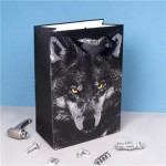 Пакет подарочный, Men’s Direction, 26х18х10 см, в ассортименте