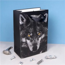 Пакет подарочный, Men’s Direction, 26х18х10 см, в ассортименте в магазинах FixPrice