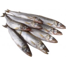 Корюшка средняя, весовая в магазинах Лента