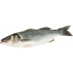 Сибас 300–400г, весовой Сибас 300–400г, весовой