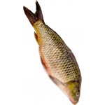 Сазан, весовой Сазан, весовой