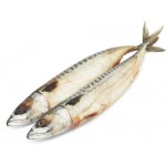Скумбрия ЛЕНТА FRESH непотрошеная с головой из замороженного сырья, весовая Скумбрия ЛЕНТА FRESH непотрошеная с головой из замороженного сырья, весовая