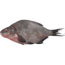 Лещ непотрошеный 1,5кг+, весовой в магазинах Лента