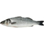 Сибас 600–800г, весовой Сибас 600–800г, весовой