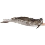 Сайда потрошеная без головы, весовая Сайда потрошеная без головы, весовая