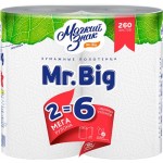 Полотенца бумажные МЯГКИЙ ЗНАК Mr.Big 2 слоя, 2шт