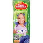 Сок САДЫ ПРИДОНЬЯ Яблоко, слива с мякотью, с 5 месяцев, 200мл Сок САДЫ ПРИДОНЬЯ Яблоко, слива с мякотью, с 5 месяцев, 200мл