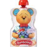 Пюре фруктово-ягодное BAMBOLINA Яблоко и голубика, с 5 месяцев, 90г Пюре фруктово-ягодное BAMBOLINA Яблоко и голубика, с 5 месяцев, 90г