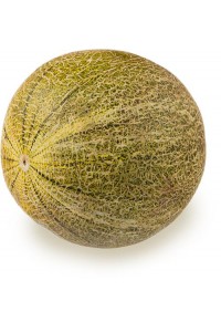 Дыня в Ленте Дыня в Ленте