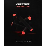 Дневник школьный PROF-PRESS универсальный, 40 листов, на скрепке, в ассортименте