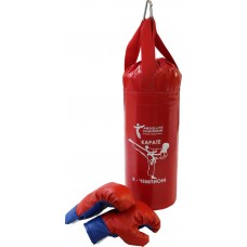 Игровой набор для бокса детский ACTIWELL перчатки и груша в магазинах Лента