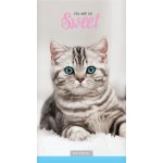 Блокнот ARTSPACE Домашние любимцы, А6, 24 листа, на скрепке, в ассортименте, Арт. Б6к24_40826 Блокнот ARTSPACE Домашние любимцы, А6, 24 листа, на скрепке, в ассортименте, Арт. Б6к24_40826