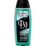 Гель для душа мужской ФА Men Охлаждение Экстрим, 250мл
