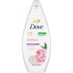 Крем-гель для душа DOVE Объятия нежности Сливочная ваниль и пион, бессульфатный, 250мл