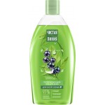 Гель для душа ЧИСТАЯ ЛИНИЯ Пробуждающий Смородина и ледниковая вода, 750мл