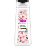 Гель для душа CAMAY Botanicals Японская сакура, 250мл Гель для душа CAMAY Botanicals Японская сакура, 250мл