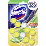 Блок для унитаза DOMESTOS Power 5 Duo Свежесть лайма, 2x55г