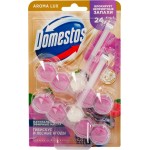 Блок для унитаза DOMESTOS Power 5 duo Сказочный аромат, 100г