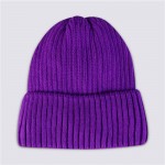 Шапка для мальчика INWIN Basic р. 50–52, 52–54, Арт. V-21