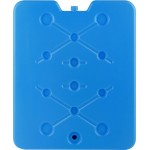 Элемент холода 800мл 31,5х25,5x1,5см, Арт. LTAK0048 Элемент холода 800мл 31,5х25,5x1,5см, Арт. LTAK0048