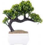 Растение искусственное в керамическом горшке Бонсай, Арт. WPF201936