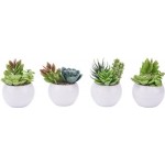 Растение искусственное в горшке Суккулент, Арт. WPF202004