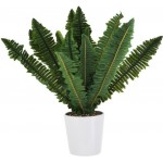 Растение искусственное в горшке Папоротник d=13,5см h=45см, Арт. JWS2607